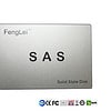 SAS SSD