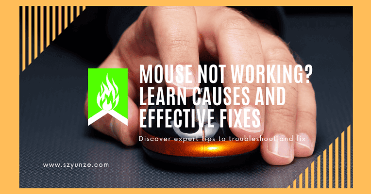 Mouse Not Working Learn Causes and Effective Fixes