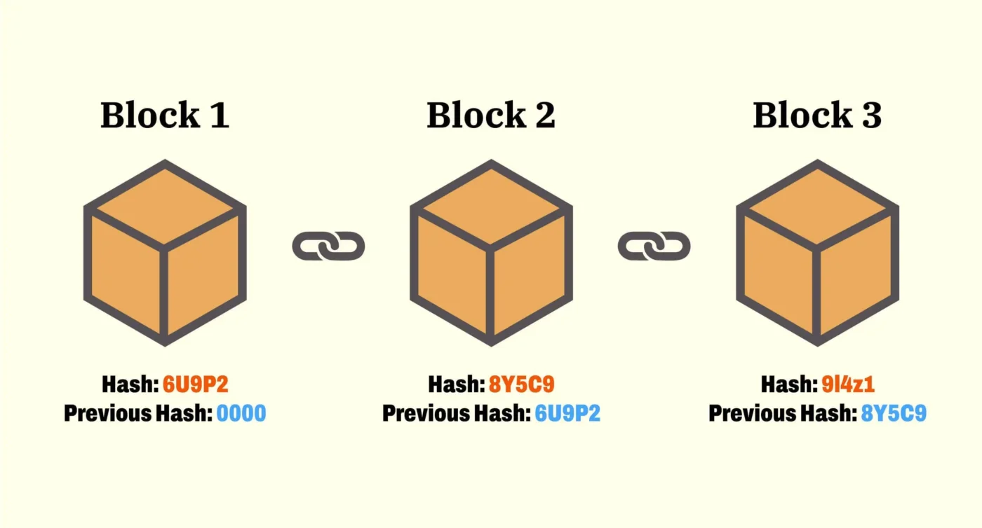 High Transparency of Blockchain