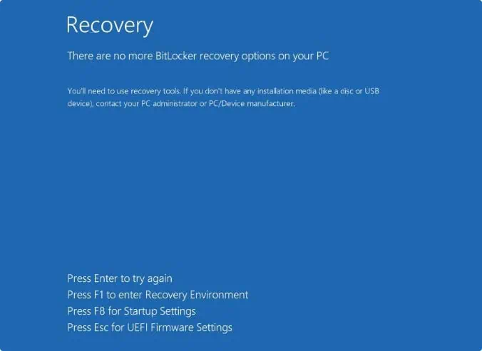 BitLocker Recovery Options