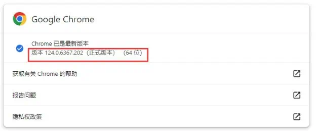 Google Chrome Updated to 124.0.6367.202