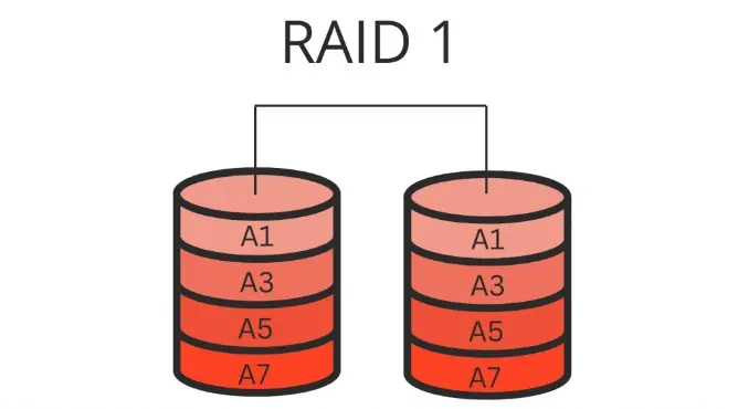 RAID 1