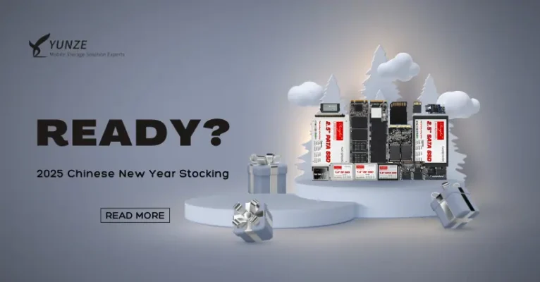 Get Ready for 2025 Chinese New Year Stocking Boom